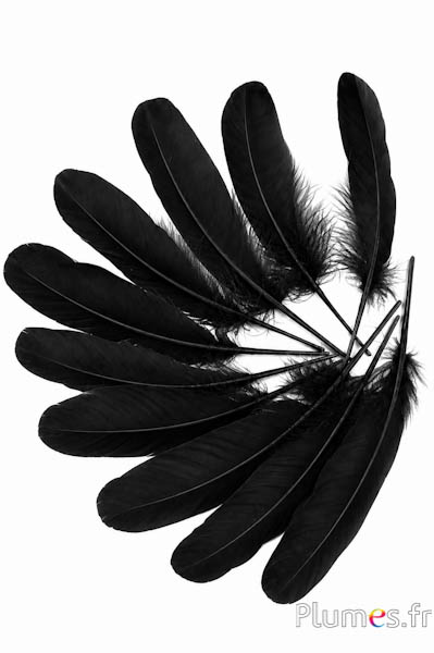 Gans - 15-21 cm - schwarz